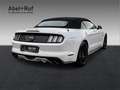 Ford Mustang Ford Mustang Convertible GT Xenon+Tempo+Kamera Weiß - thumbnail 8