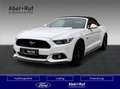 Ford Mustang Ford Mustang Convertible GT Xenon+Tempo+Kamera Weiß - thumbnail 1