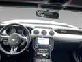Ford Mustang Ford Mustang Convertible GT Xenon+Tempo+Kamera Weiß - thumbnail 12