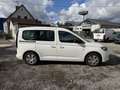 Volkswagen Caddy VW Caddy TDI 4MOTION  VW Garantie bis2026 Weiß - thumbnail 6
