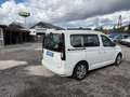 Volkswagen Caddy VW Caddy TDI 4MOTION  VW Garantie bis2026 Weiß - thumbnail 8