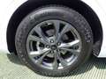 Ford Kuga 2.5 Full Hybrid 190 CV CVT 2WD ST-Line Blanc - thumbnail 6