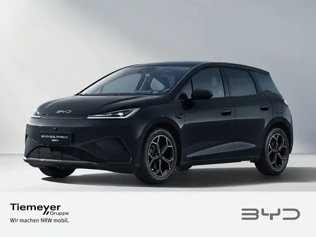 Byd Dolphin view 2