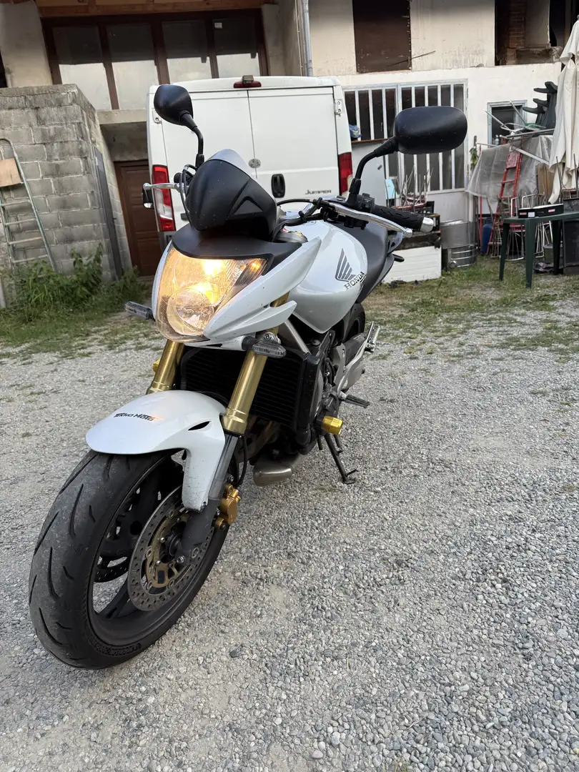 Honda Hornet Weiß - 2