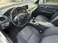 Mercedes-Benz C 180 T CDI A-Edition BlueEfficiency Weiß - thumbnail 11