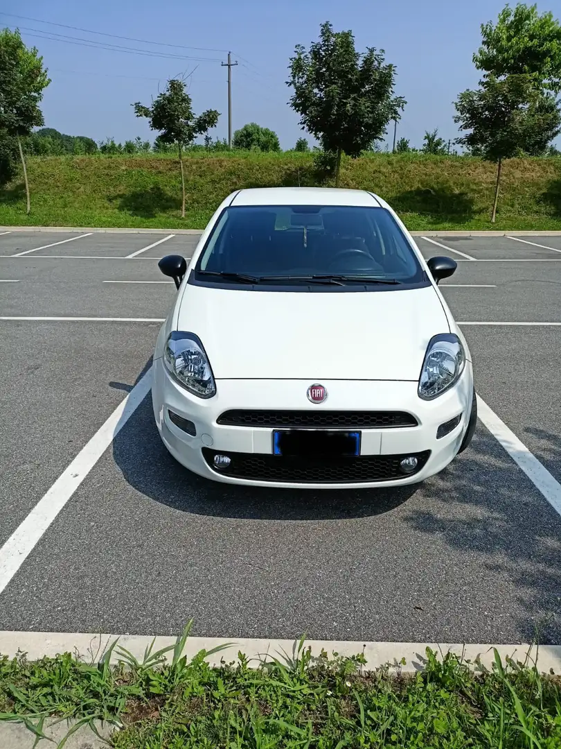 Fiat Punto 5p 1.3 mjt Lounge s&s 95cv - 1