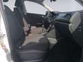 Volkswagen T-Roc 1.0 TSI NAVI+SHZ+LANE-ASSIST Weiß - thumbnail 18