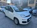 Fiat Panda Panda III 2016 1.2 Easy easypower Gpl 69cv my19 Weiß - thumbnail 2
