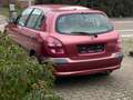 Nissan Almera 1.5i 16v Comfort Brązowy - thumbnail 3