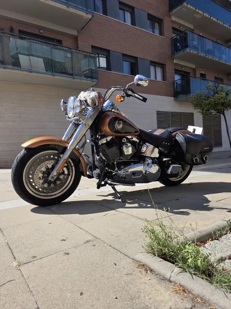 Harley-Davidson Fat Boy 105 aniversario Bronze - 2