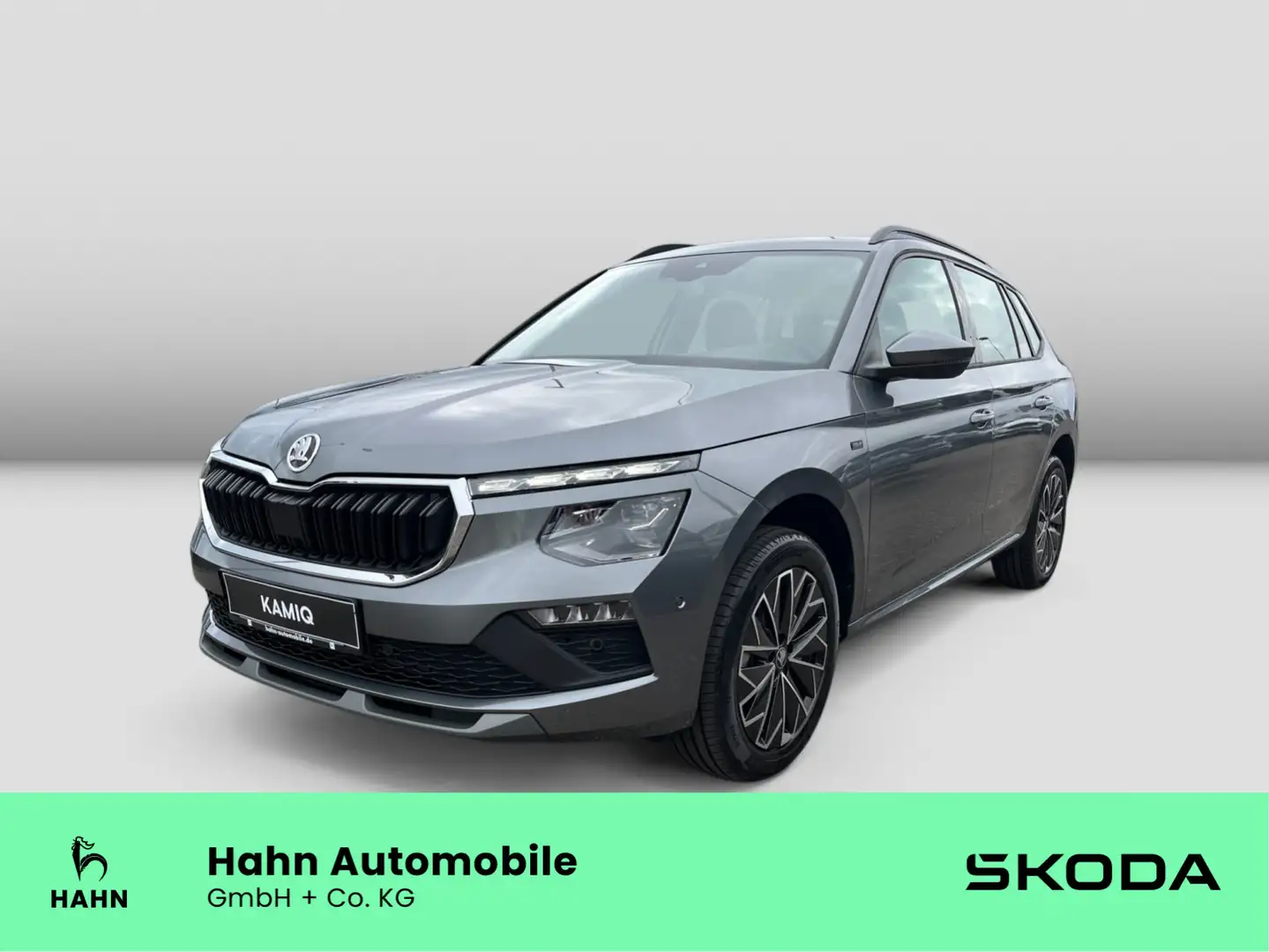 Skoda Kamiq Tour TSI 115PS PDC Kam LED Assistenz elHec Grau - 1