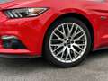 Ford Mustang Fastback 5.0 V8 GT Rouge - thumbnail 9