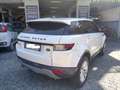 Land Rover Range Rover Evoque 2.0 TD4 Pure Business Edition 150cv RATE / Permute Bianco - thumbnail 4
