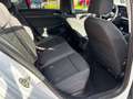 Volkswagen Golf VIII Lim. 1.0 TSI Active*LED*Sitzh.*PDC Weiß - thumbnail 36