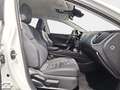 Lexus NX 350h Business City 2WD Blanc - thumbnail 7