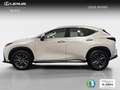 Lexus NX 350h Business City 2WD Blanc - thumbnail 4
