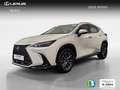 Lexus NX 350h Business City 2WD Blanc - thumbnail 1