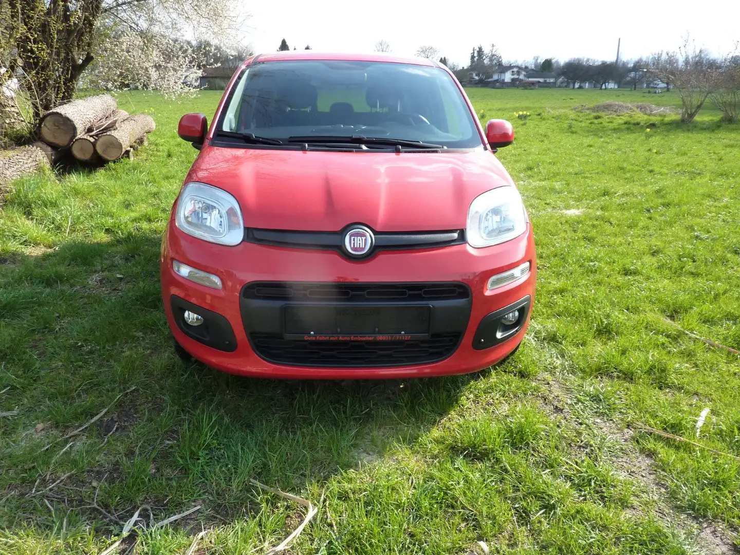 Fiat New Panda 1.2 8V LOUNGE Zahnriemen ern.3.25 Roşu - 1