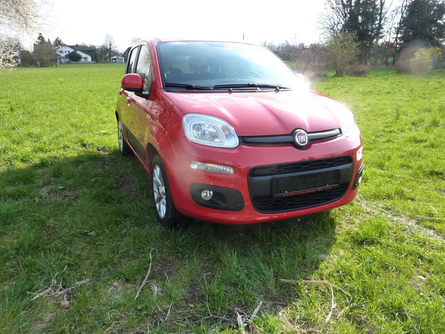 Fiat New Panda 1.2 8V LOUNGE Zahnriemen ern.3.25 Roşu - 2