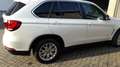 BMW X5 X5 xDrive25d Sport-Aut. Weiß - thumbnail 1