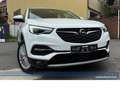 Opel Grandland X 1.5 D Innovation*AHK*NAV*4SHZ*RFK*BT Weiß - thumbnail 17