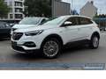 Opel Grandland X 1.5 D Innovation*AHK*NAV*4SHZ*RFK*BT Weiß - thumbnail 20