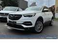Opel Grandland X 1.5 D Innovation*AHK*NAV*4SHZ*RFK*BT Weiß - thumbnail 21