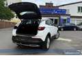 Opel Grandland X 1.5 D Innovation*AHK*NAV*4SHZ*RFK*BT Weiß - thumbnail 19