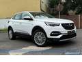 Opel Grandland X 1.5 D Innovation*AHK*NAV*4SHZ*RFK*BT Weiß - thumbnail 16