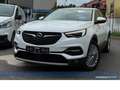 Opel Grandland X 1.5 D Innovation*AHK*NAV*4SHZ*RFK*BT Alb - thumbnail 4