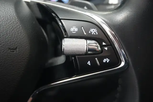 Skoda Kodiaq view 13