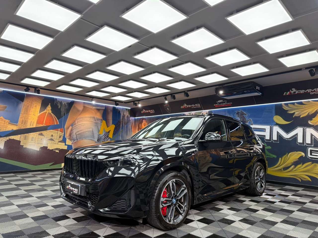 BMW X1 X1 xDrive 25e Msport Pro (648)