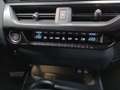 Lexus UX 250h 2.0 Business Portocaliu - thumbnail 14