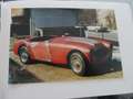 Austin-Healey 100 BN - 6 Azul - thumbnail 15