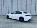 Alfa Romeo Giulia Giulia 2.0 GME Veloce Q4 ATX 280 Veloce Q4 Blanco - thumbnail 2