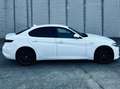 Alfa Romeo Giulia Giulia 2.0 GME Veloce Q4 ATX 280 Veloce Q4 Blanco - thumbnail 5