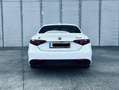 Alfa Romeo Giulia Giulia 2.0 GME Veloce Q4 ATX 280 Veloce Q4 Blanco - thumbnail 4