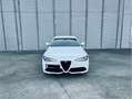 Alfa Romeo Giulia Giulia 2.0 GME Veloce Q4 ATX 280 Veloce Q4 Blanco - thumbnail 3