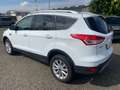 Ford Kuga Titanium 4x4 Autom-Nav-AHK-Tüv/Oel/ZR neu-66Tkm Weiß - thumbnail 4