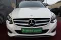 Mercedes-Benz B 180 KLIMA KAMERA PDC SITZHEIZUNG 2.HAND Wit - thumbnail 15
