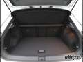 Volkswagen T-Roc R-LINE 1.5 TSI DSG (+ACC-RADAR) Sportpaket Weiß - thumbnail 13