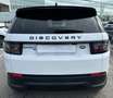 Land Rover Discovery Sport 2.0 td4 S awd 150cv auto “7.POSTI” Blanco - thumbnail 5
