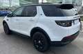 Land Rover Discovery Sport 2.0 td4 S awd 150cv auto “7.POSTI” Blanco - thumbnail 4