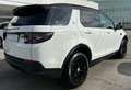 Land Rover Discovery Sport 2.0 td4 S awd 150cv auto “7.POSTI” Blanco - thumbnail 6