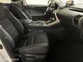 Lexus NX 300 300h Business Navigation 2WD - thumbnail 6