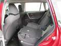 Toyota RAV 4 RAV4 2.5 Hybrid Active 2WD Aut. Winterpaket Rot - thumbnail 11