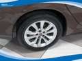 Fiat Tipo 1.4 95cv 5 Porte Lounge EU6B Marrone - thumbnail 17