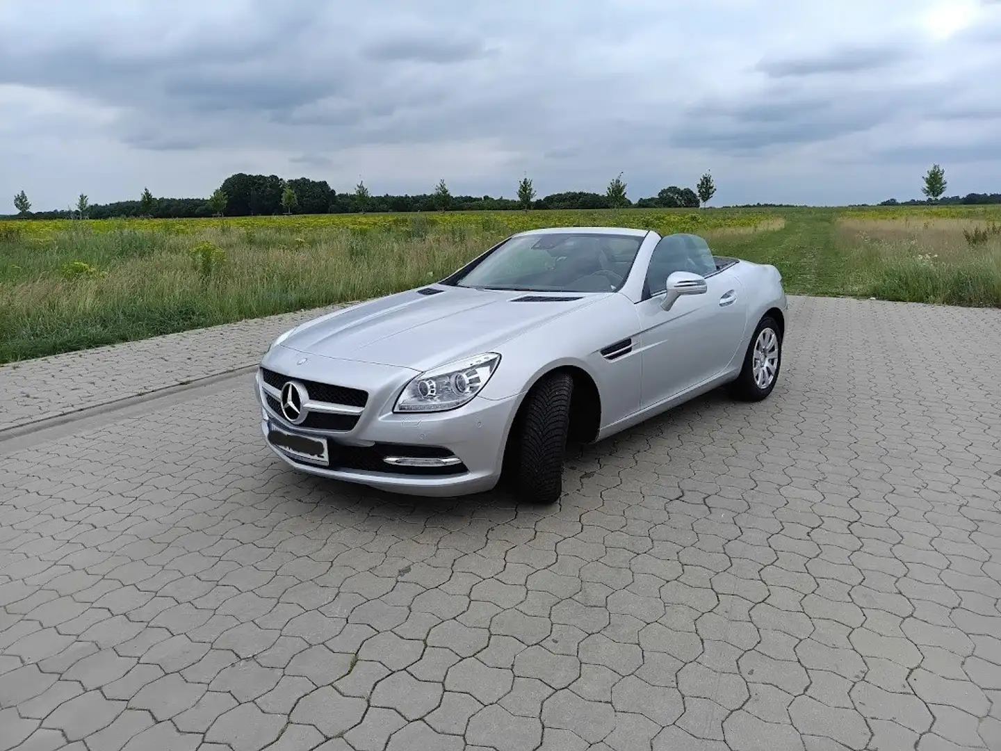 Mercedes-Benz SLK 250 SLK-Klasse Diesel CDI (BlueEFFICIENCY) Argintiu - 2