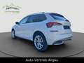 Skoda Kamiq Style, Autom. AHK,PDC,SHZ,LED Weiß - thumbnail 10