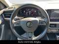 Skoda Kamiq Style, Autom. AHK,PDC,SHZ,LED Weiß - thumbnail 13